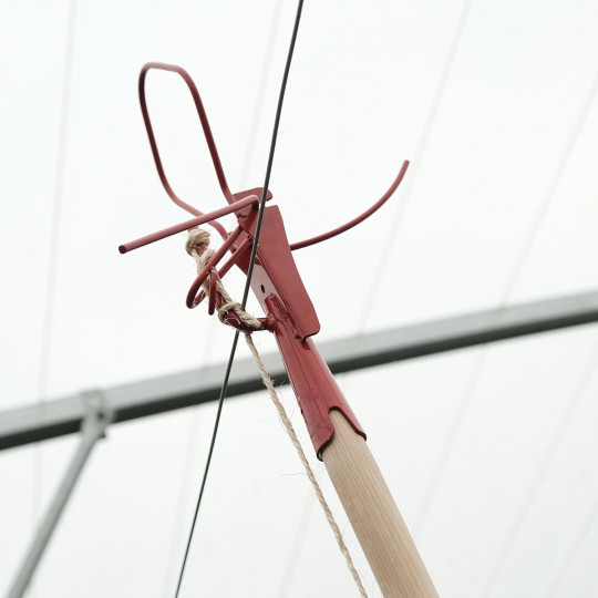 rotate image