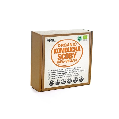 BIO SCOBY gobica za domačo pripravo kombuče