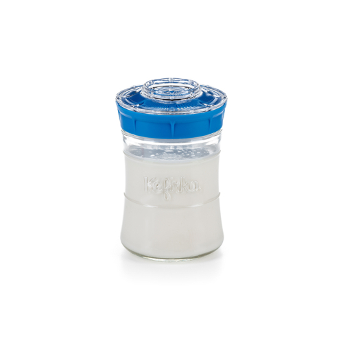 KOMBUČA STARTER KIT 900 ML