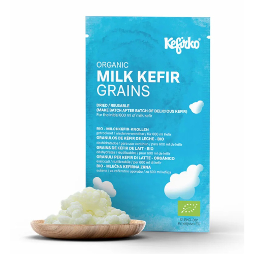 BIO ZRNA MLEČNEGA KEFIRJA 1g (SUŠENA)