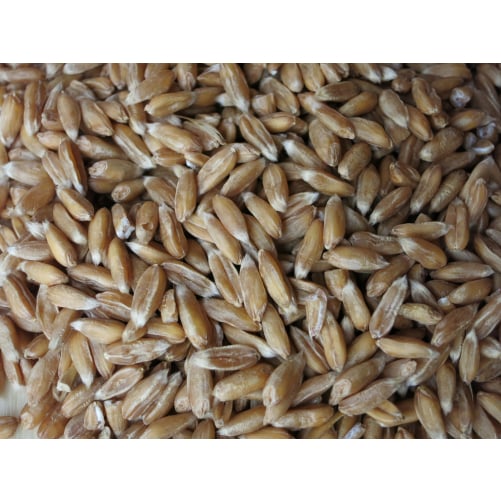 EKO PIRA V ZRNJU (5Kg)
