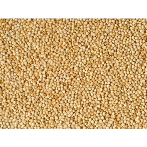 EKO KVINOJA V ZRNJU - BREZ GLUTENA (5Kg)