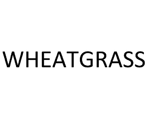 WHEATGRASS_500x400