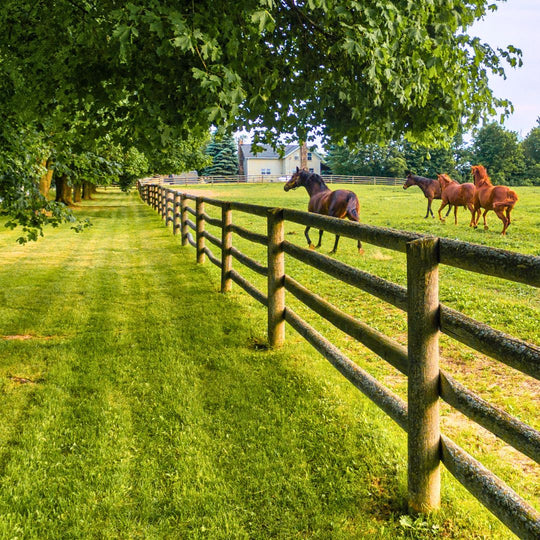 Yarbo-kosilnica-C1_M1-kosnja1