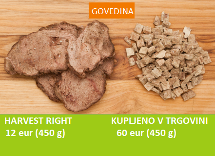 govedina